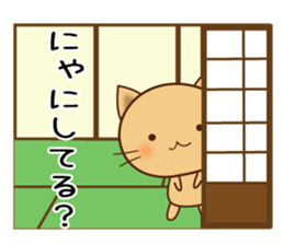 76149957