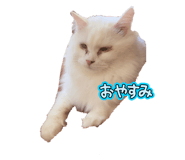 761500265