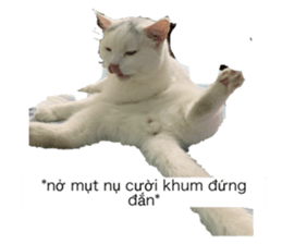 761513582