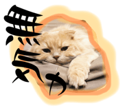 761514550