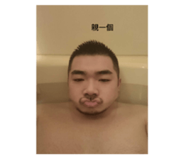 761516004