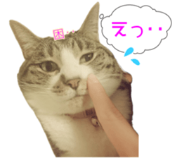 761542961