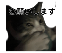 761564049