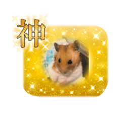 761564531