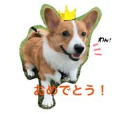 761568947