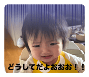 761581815