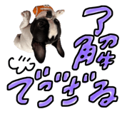 761582840