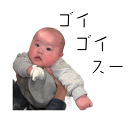 761584317