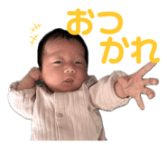 761593600