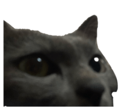 761608903