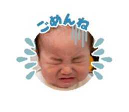 761609294