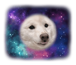 761623937
