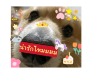761632816
