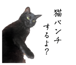 761637820