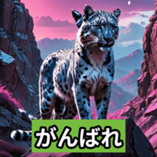 761646462