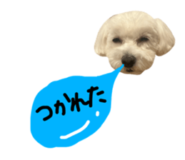 761653716