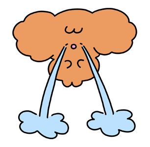 ลายที่ 17