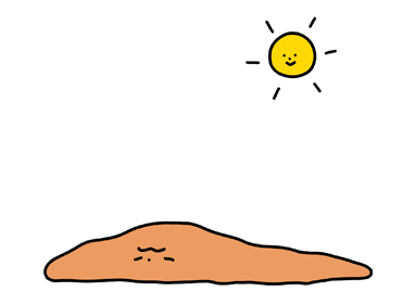 ลายที่ 24
