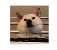 761693525