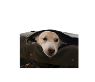 761693535