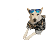 761693552