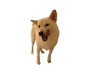 761693554