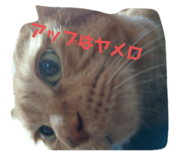 761700855