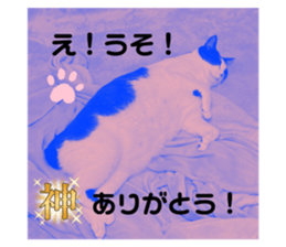 761703187