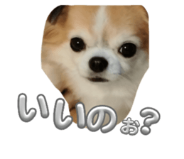 761713856