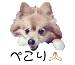 761715872