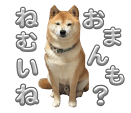 761724379