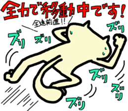 7617443