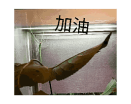 761753169