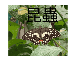 761753175