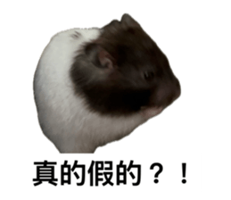 761754670