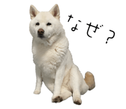 761778907