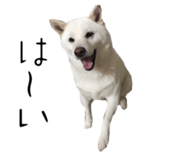 761778914