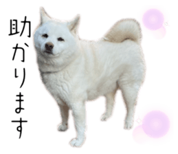 761778919