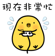 7618021