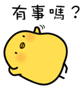 7618056