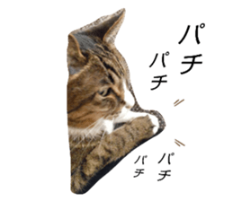 761806500