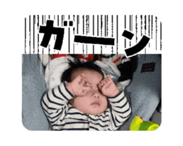 761833556