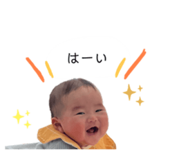 761852446