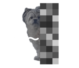 761854125