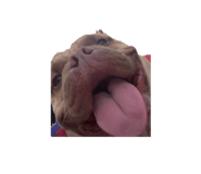 761858087