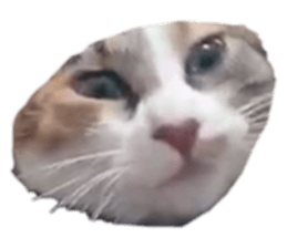 761863000