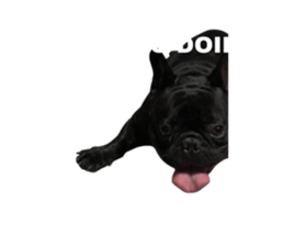 761873299