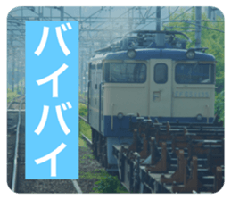 761906204