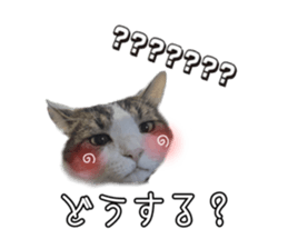 761910312