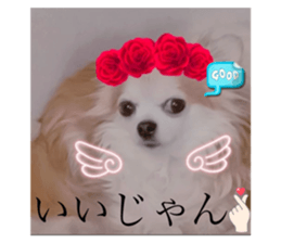 761914651